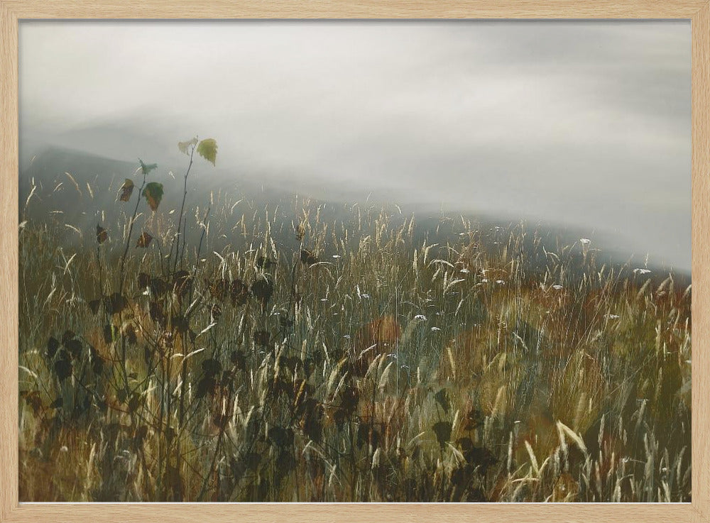 Im Feld | Poster