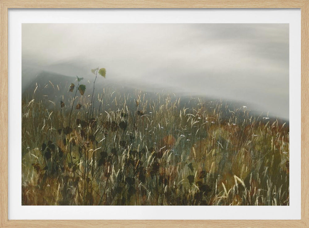Im Feld | Poster