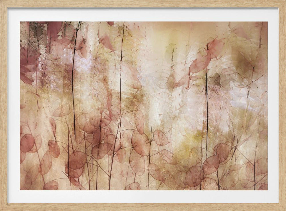 Seed pods | Poster