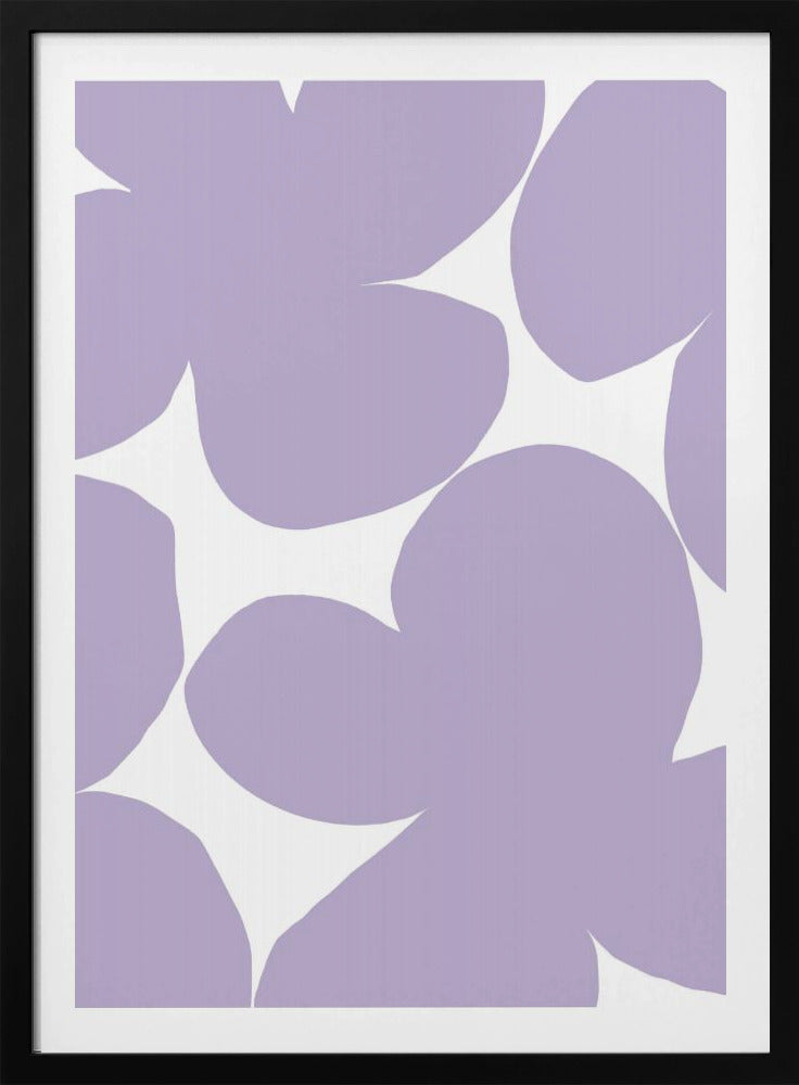 Lavendelblüten | Poster