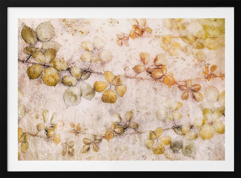 Blätter ausmalen | Poster