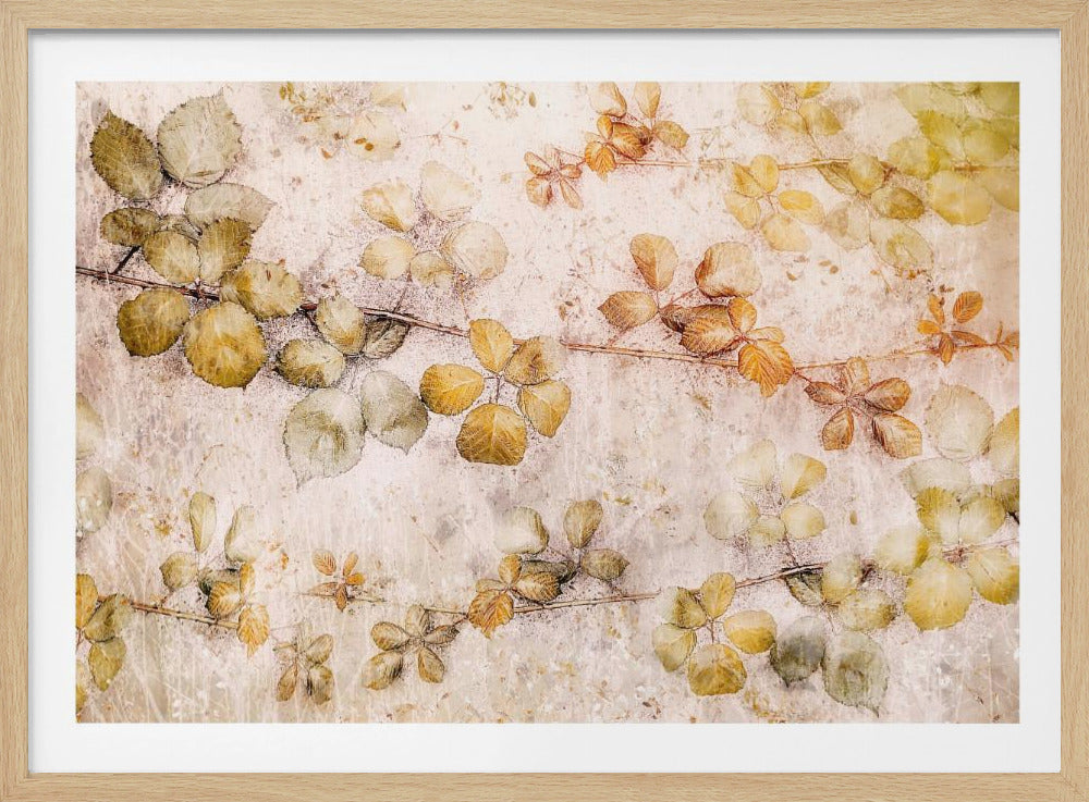 Blätter ausmalen | Poster