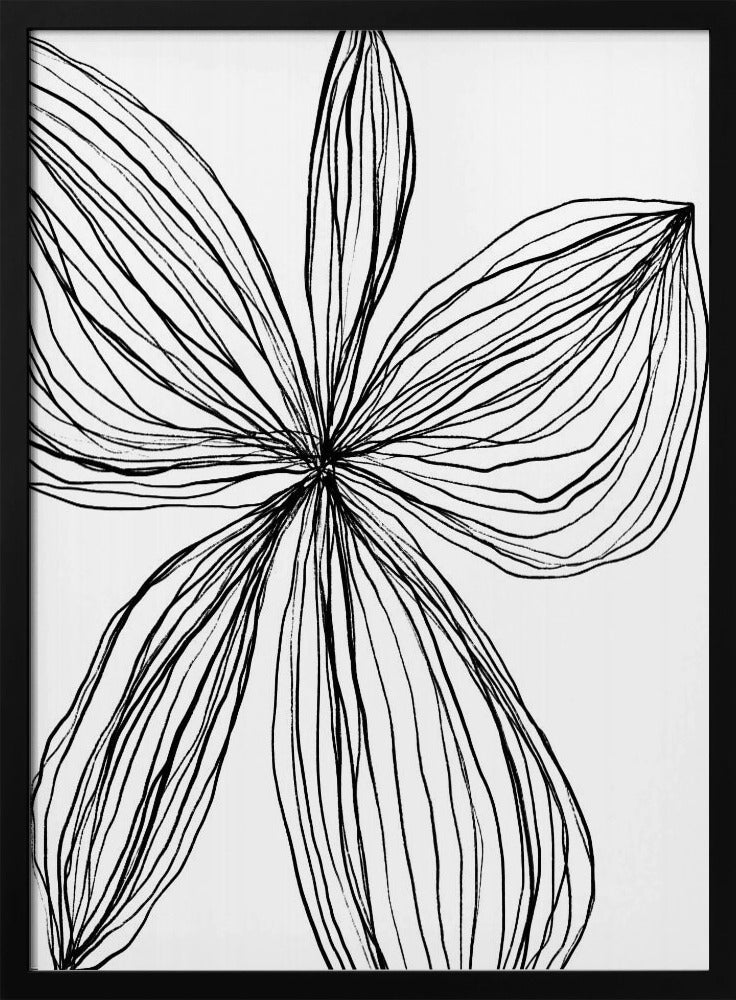 Minimalistische Schwarz-Weiß-Blütenblätter | Poster