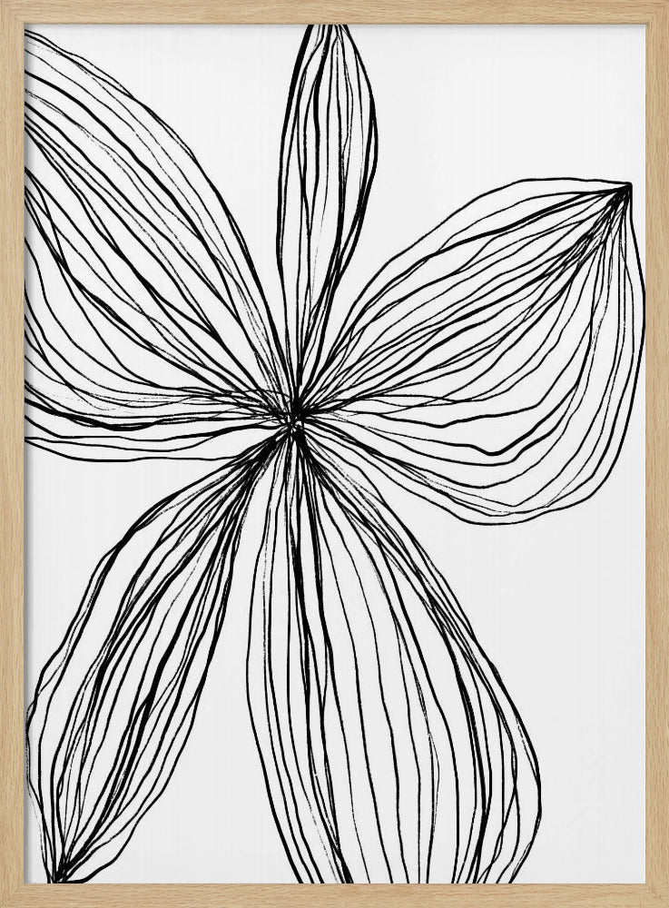 Minimalistische Schwarz-Weiß-Blütenblätter | Poster