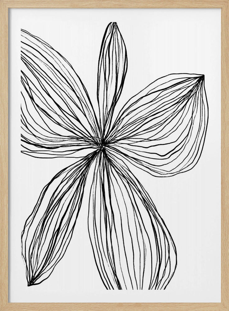 Minimalistische Schwarz-Weiß-Blütenblätter | Poster