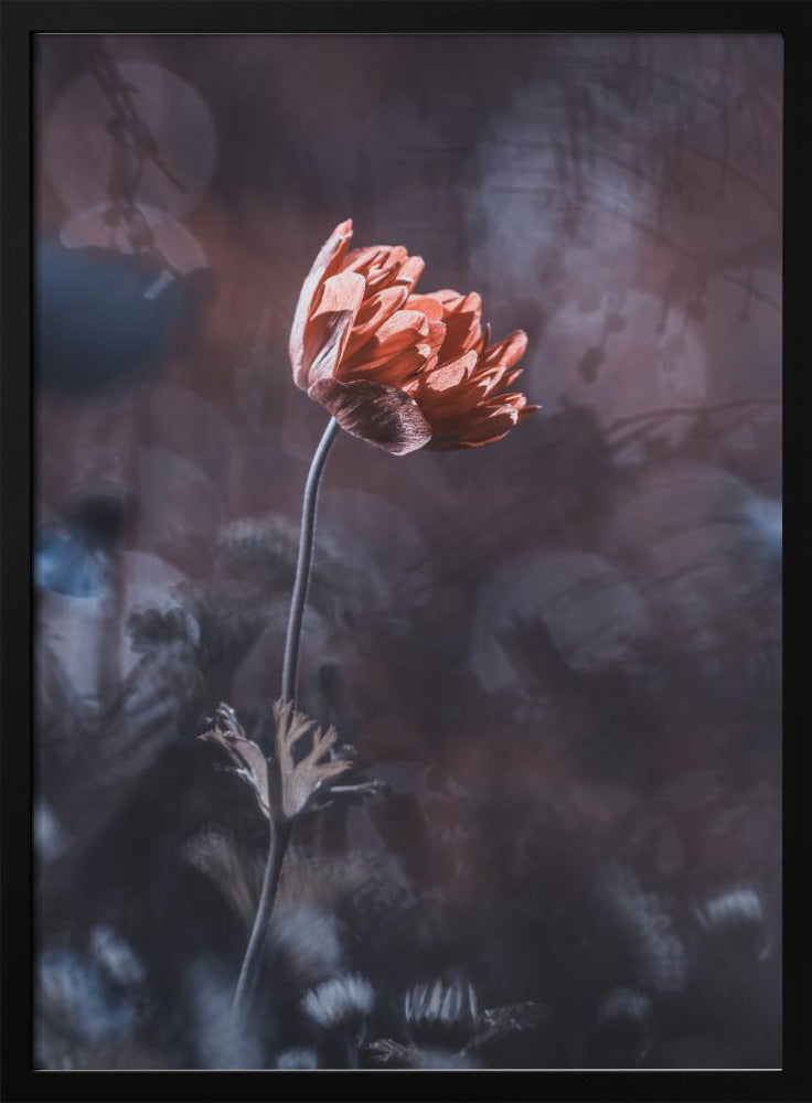 Eleganz | Poster
