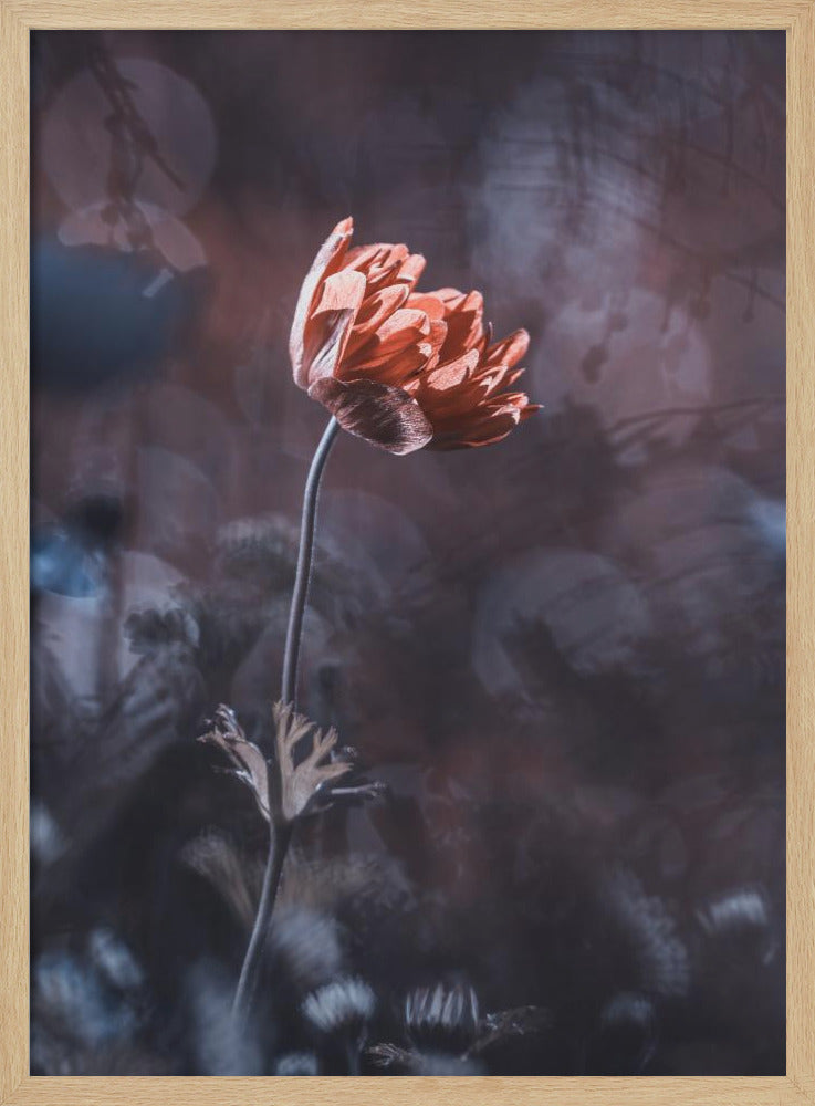 Eleganz | Poster