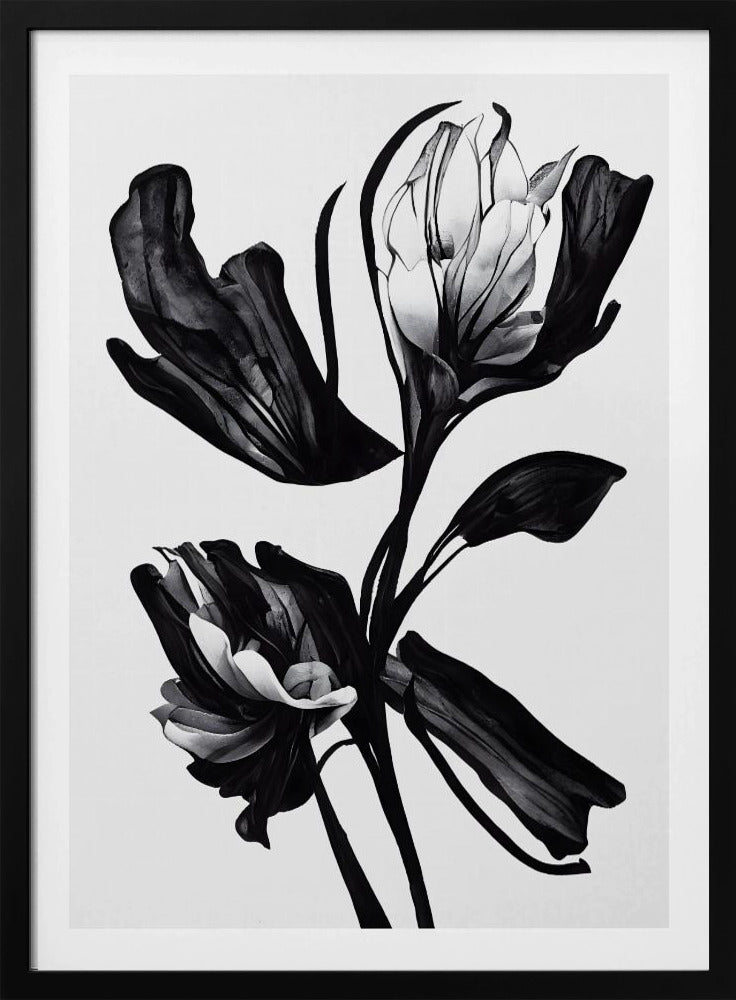 Schwarze Blume | Poster