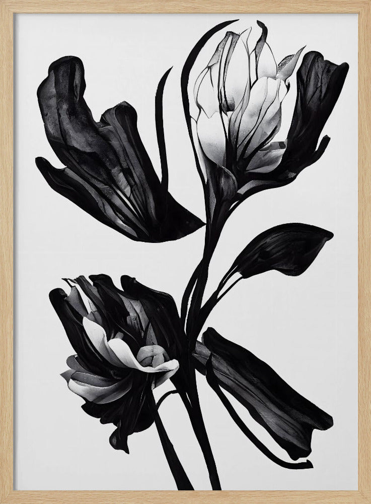 Schwarze Blume | Poster
