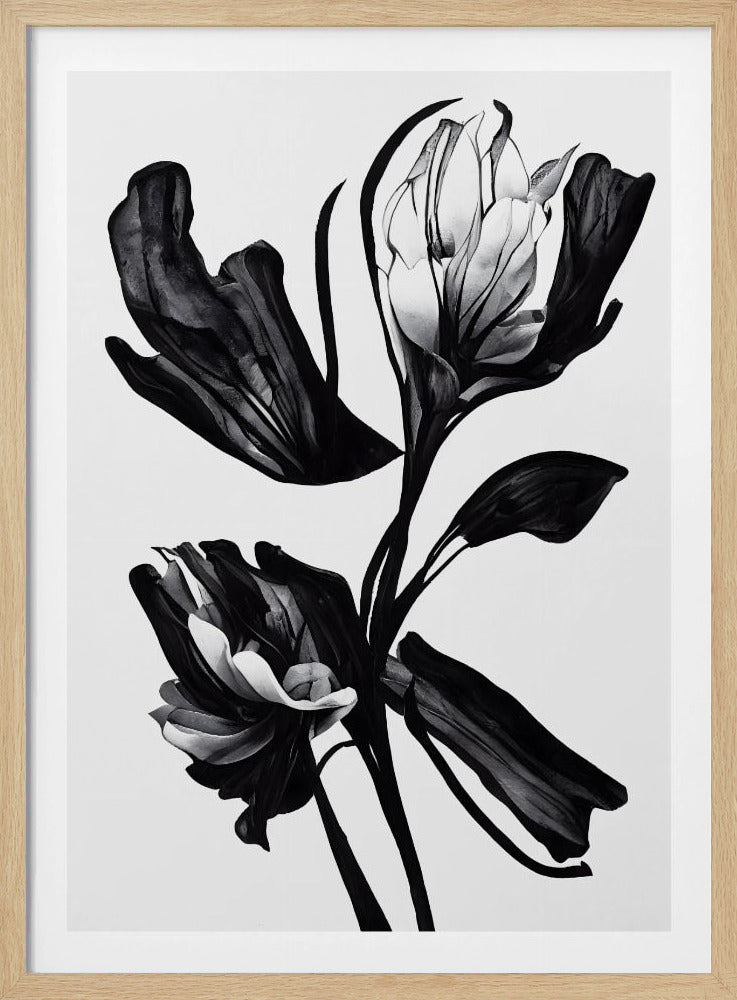 Schwarze Blume | Poster