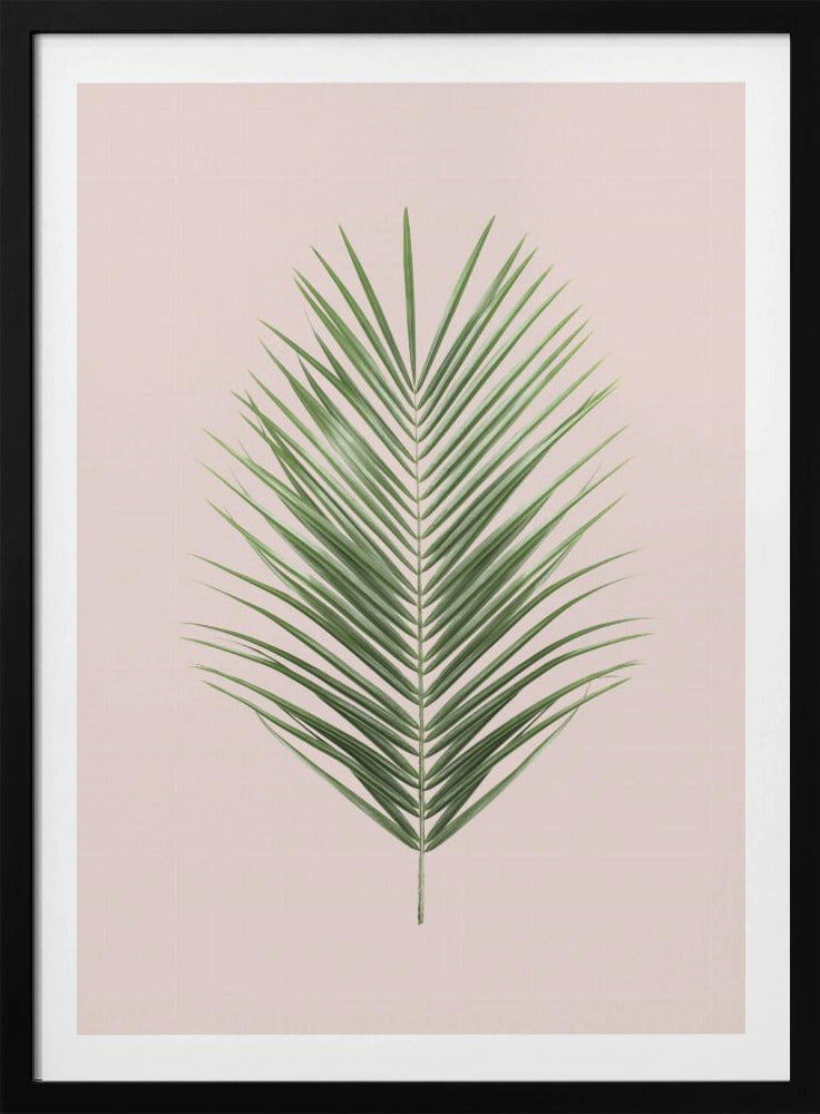 Palmblatt-Rouge | Poster