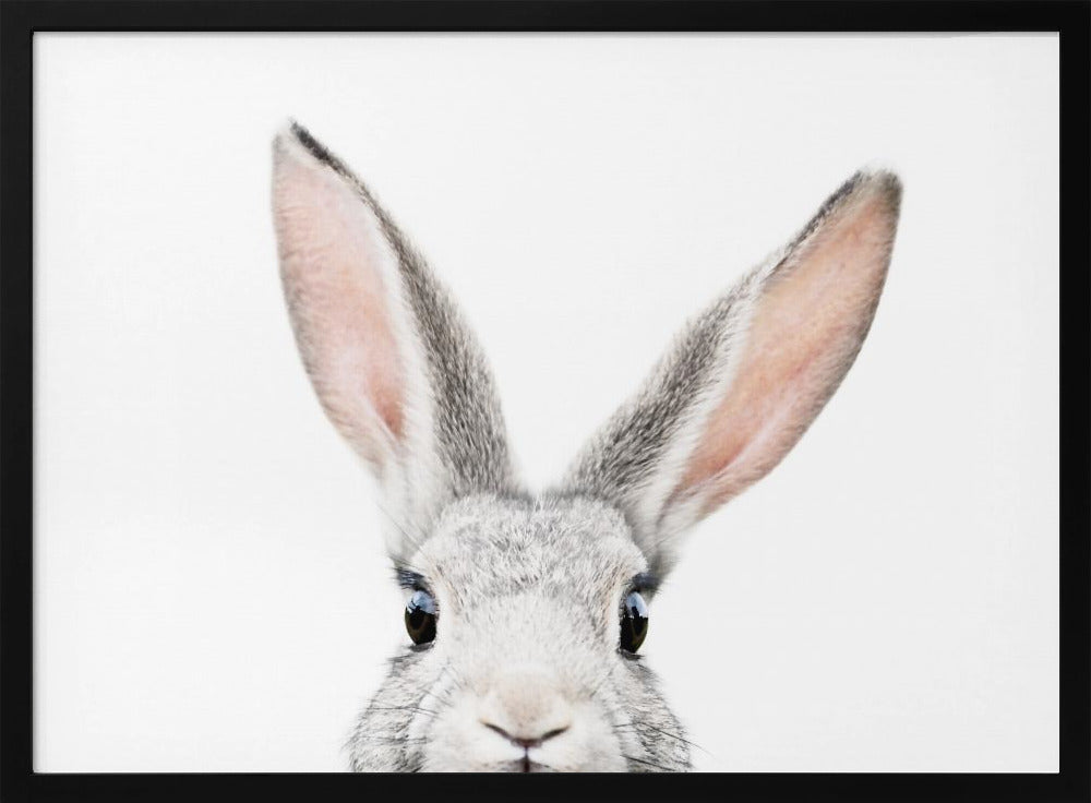 Guckender Hase | Poster