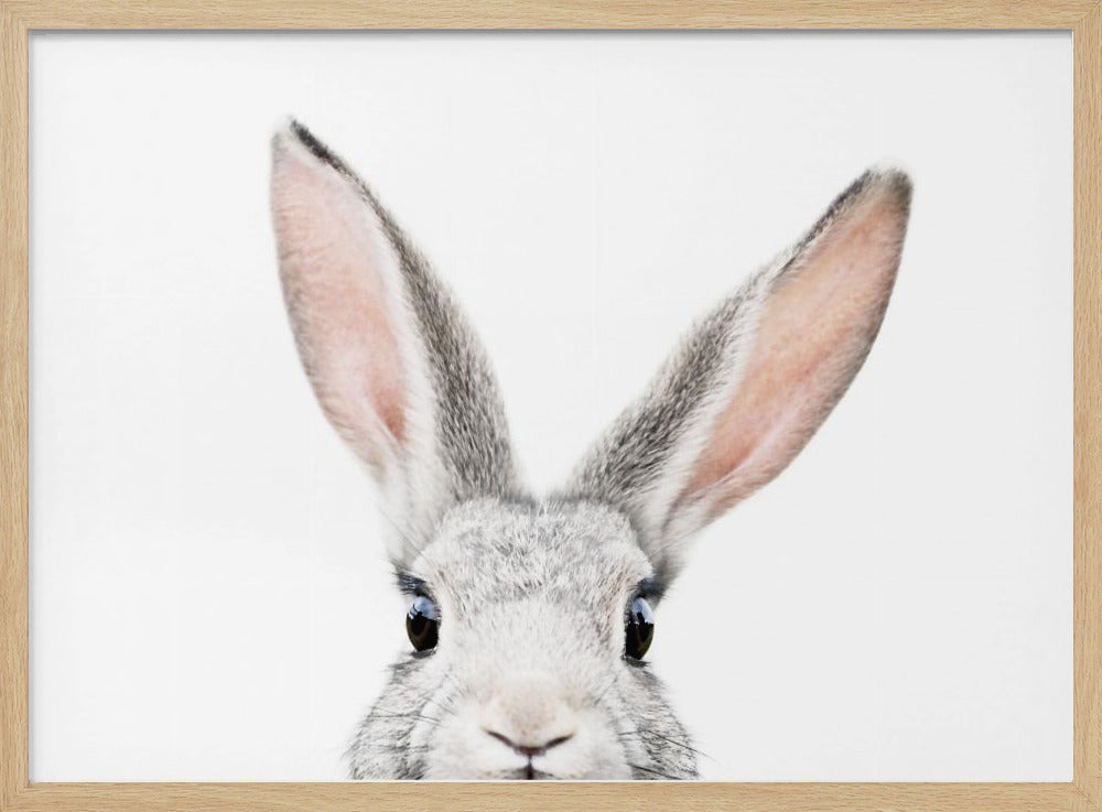 Guckender Hase | Poster
