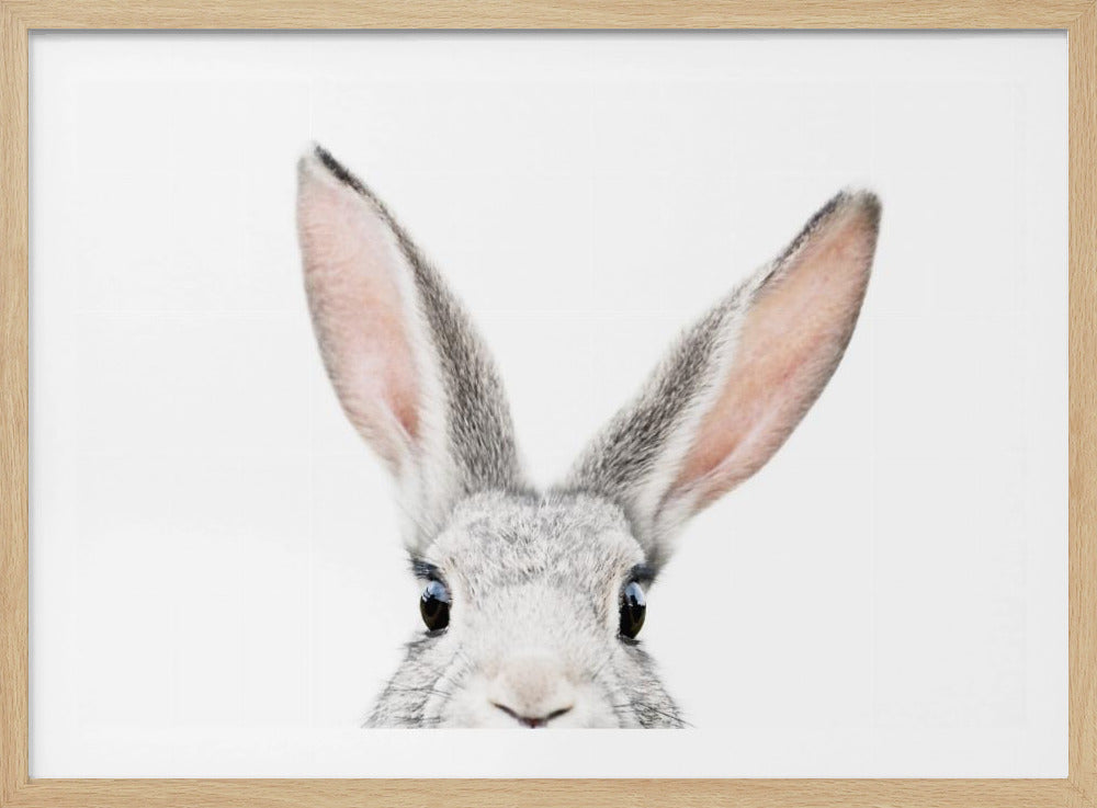 Guckender Hase | Poster