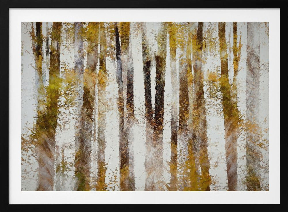 Buche im Herbst | Poster