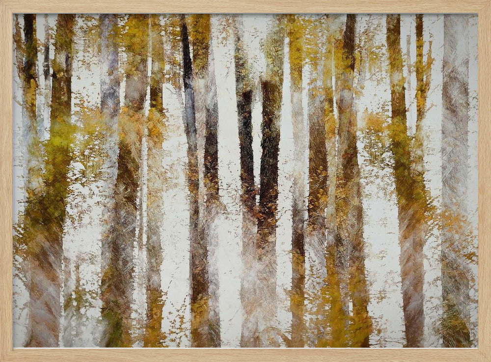 Buche im Herbst | Poster