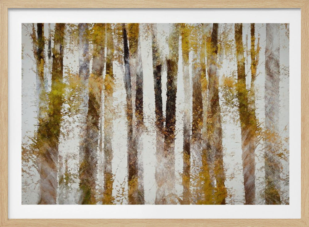 Buche im Herbst | Poster