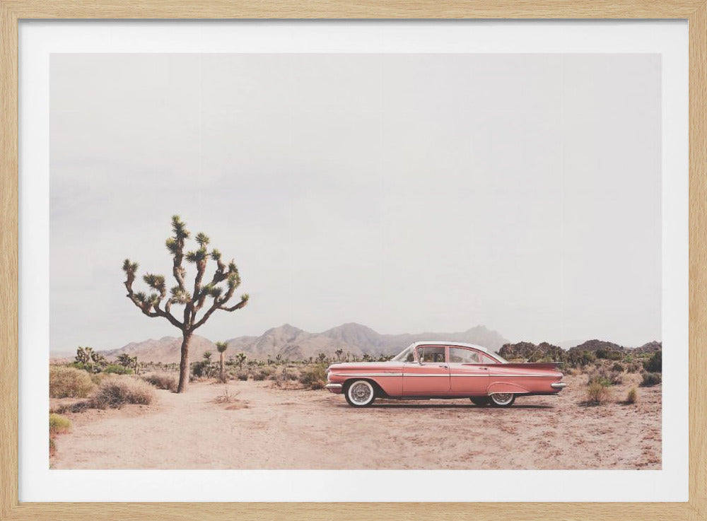 In the desert | Poster