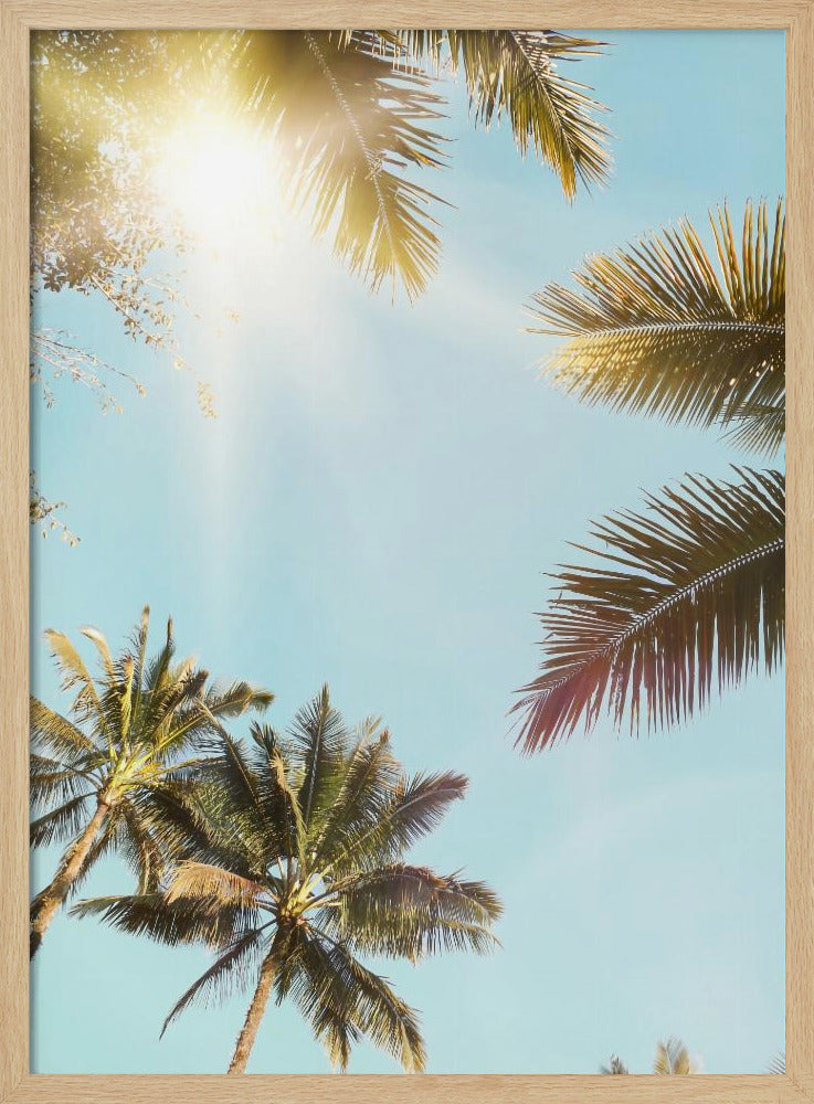 Sonnenstrahlen | Poster
