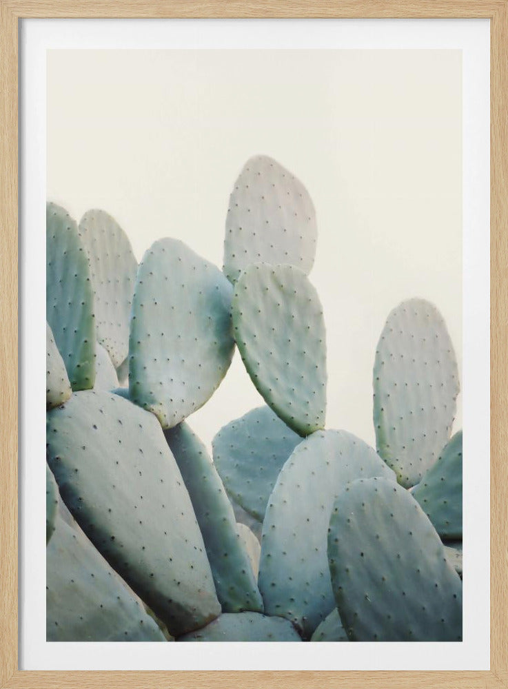 Pastell Kakteen | Poster
