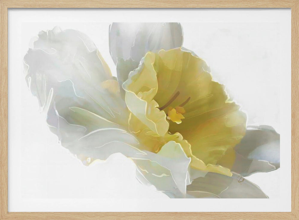 Daffodil | Poster