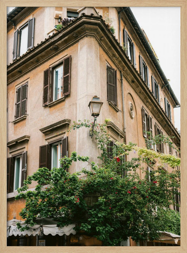 Botanisches Trastevere Rom || | Poster