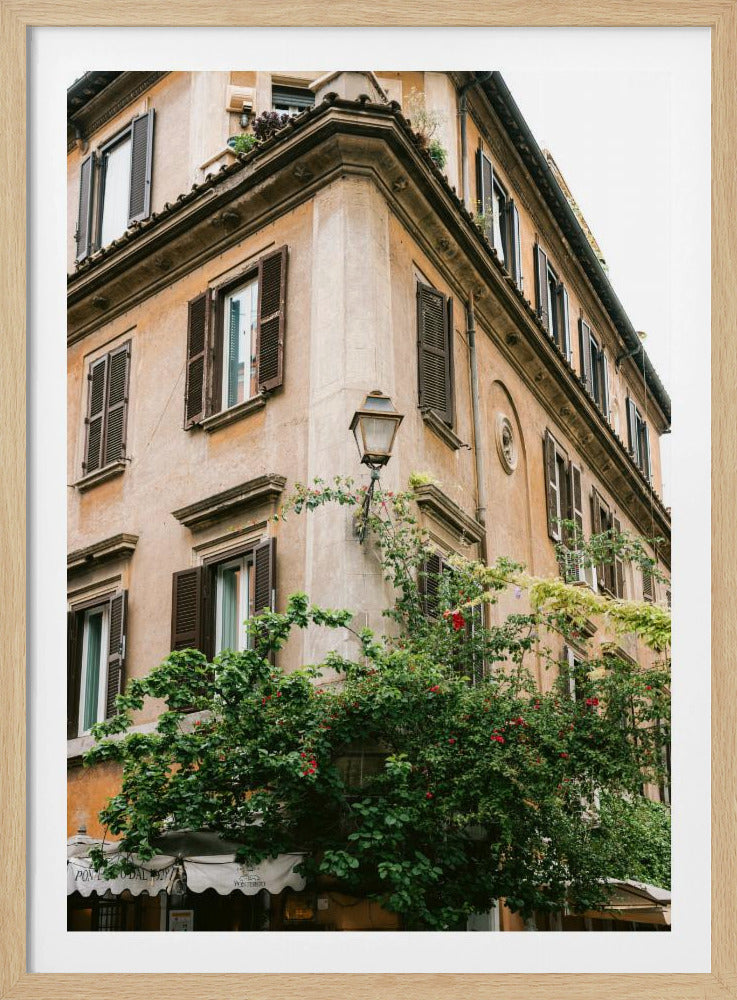 Botanisches Trastevere Rom || | Poster
