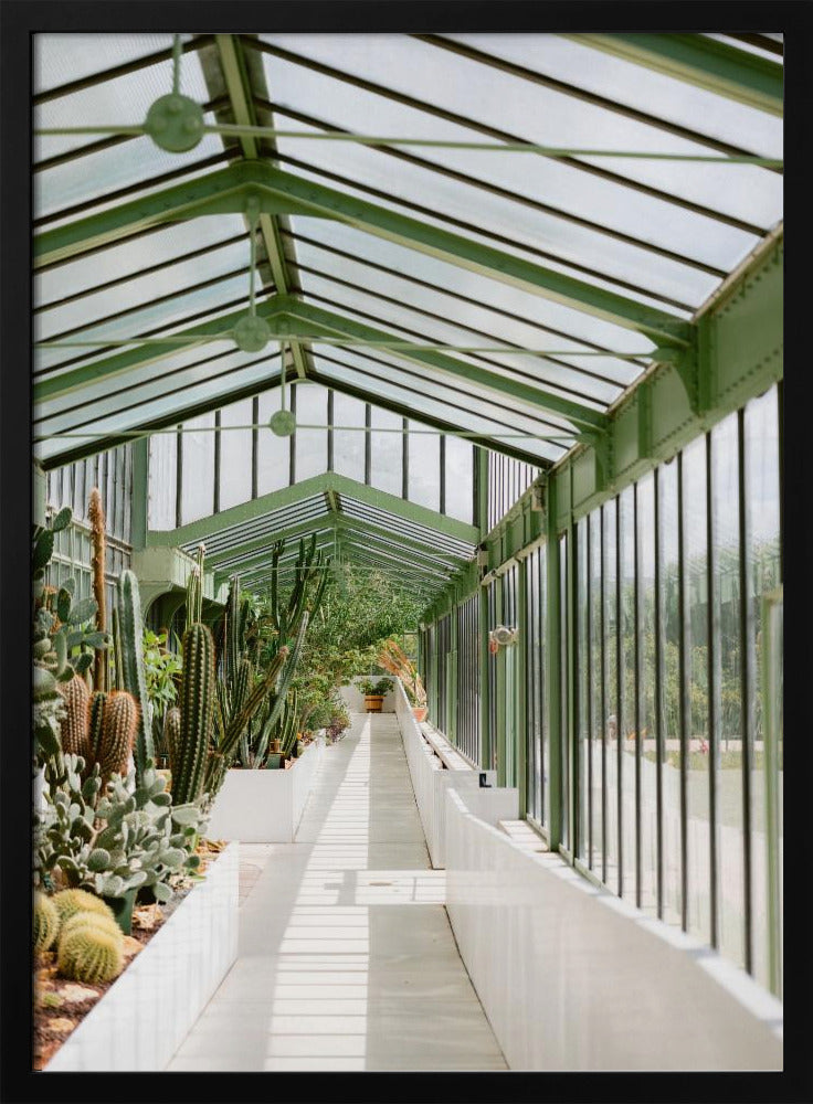 Botanischer Garten von Paris | Poster