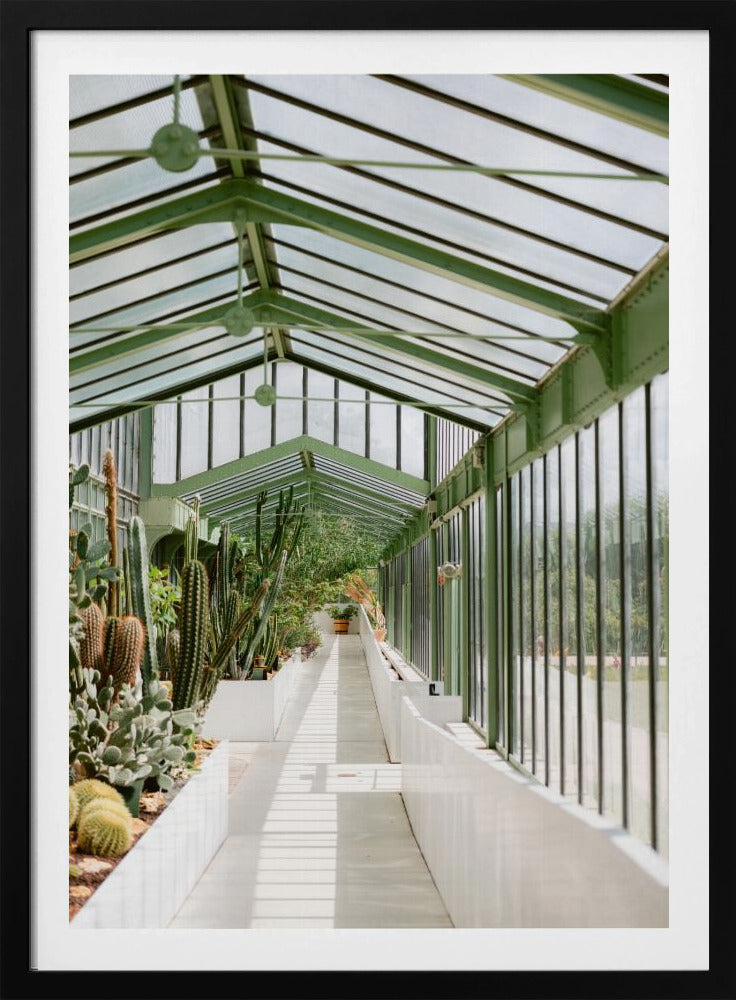 Botanischer Garten von Paris | Poster