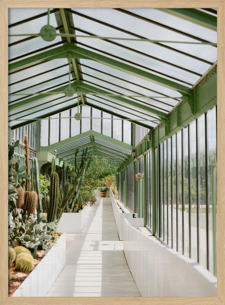 Botanischer Garten von Paris | Poster