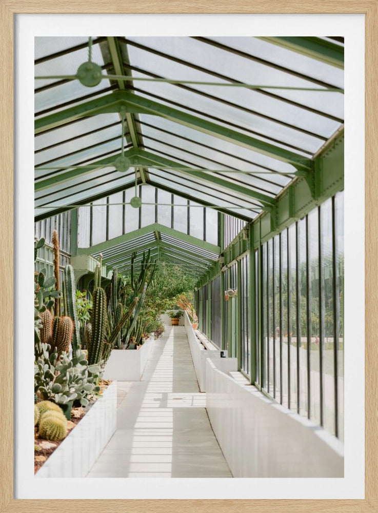 Botanischer Garten von Paris | Poster