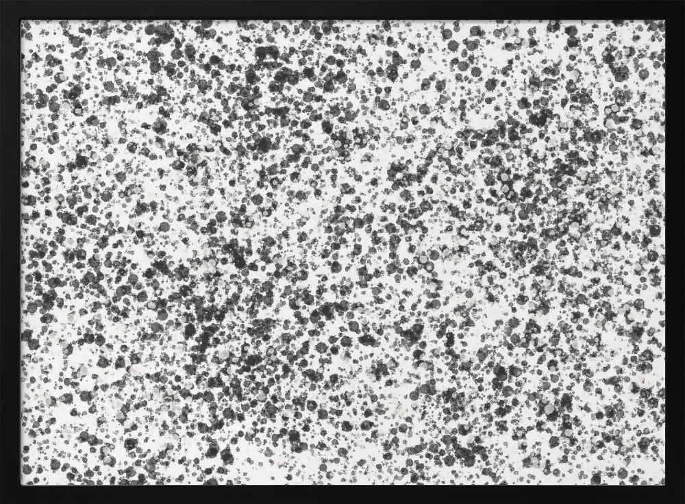 Monochrome Speckles | Poster
