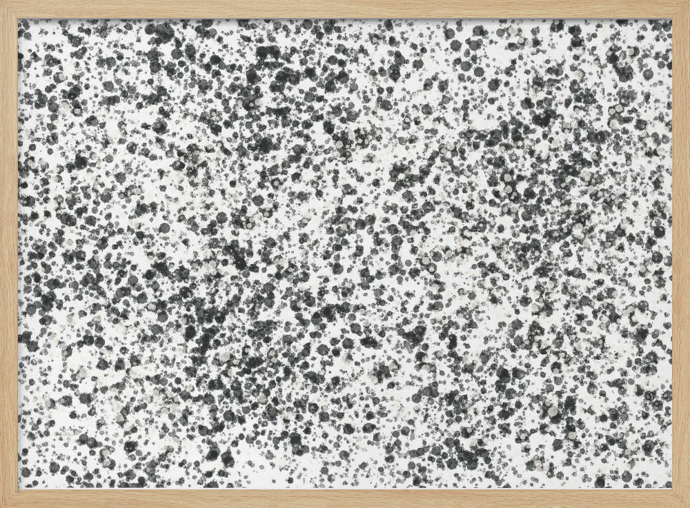 Monochrome Speckles | Poster