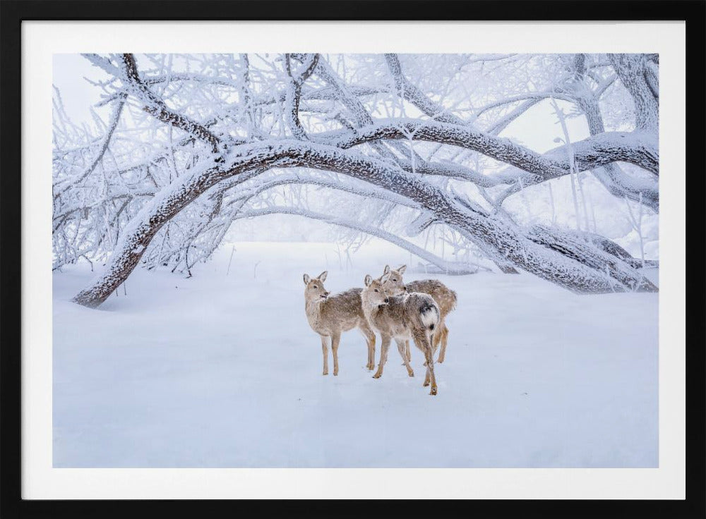 Hirschspaziergang im Schnee | Poster