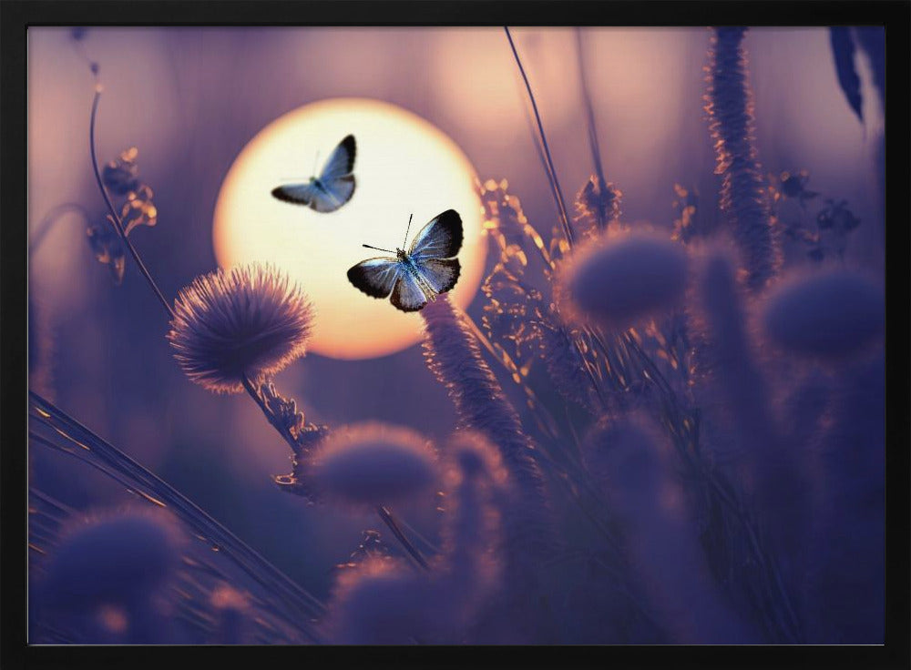 Glaube, dass du fliegen kannst | Poster