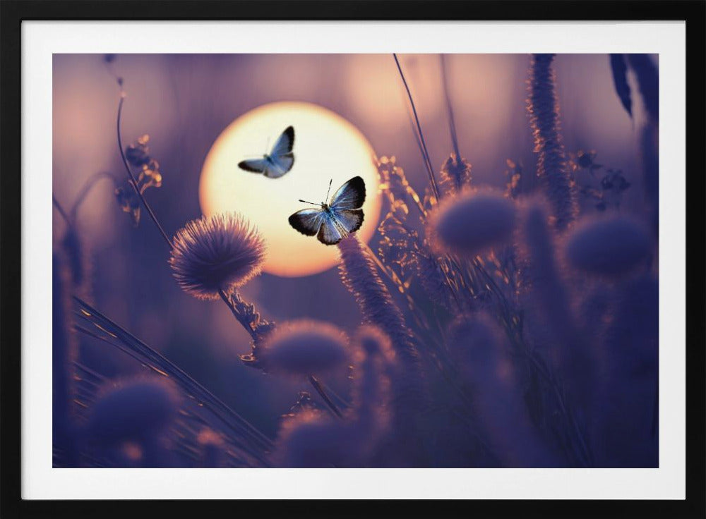 Glaube, dass du fliegen kannst | Poster