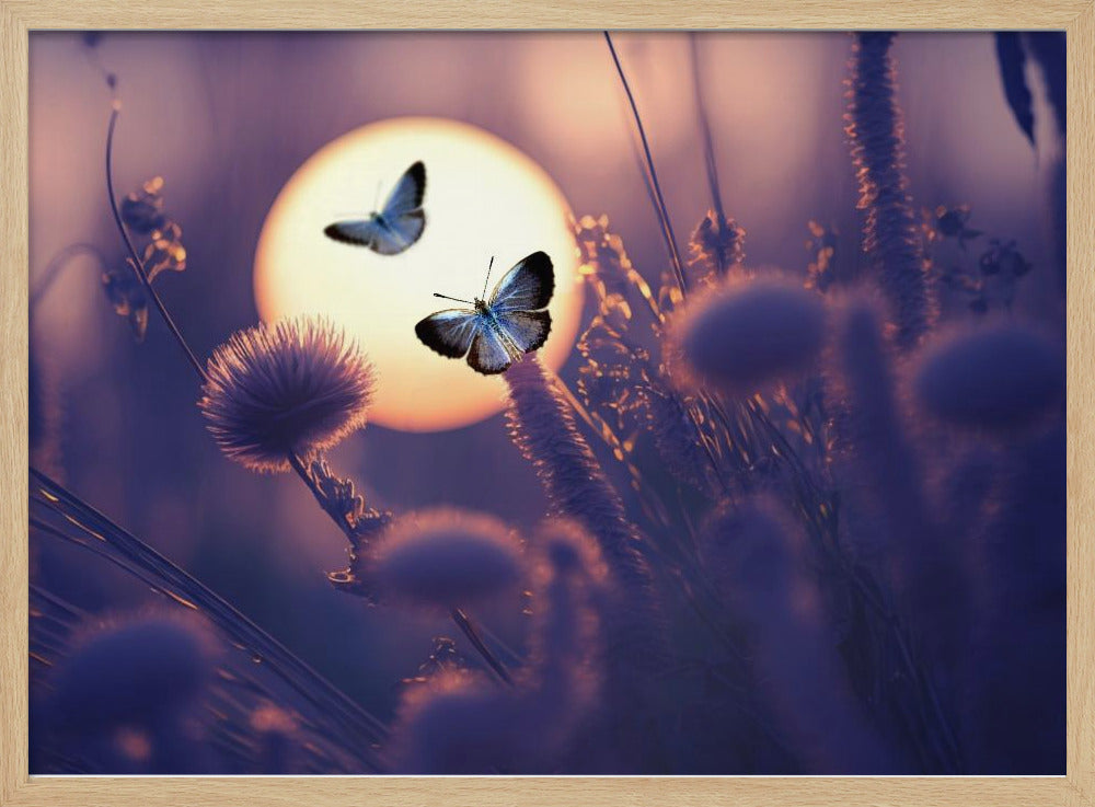 Glaube, dass du fliegen kannst | Poster