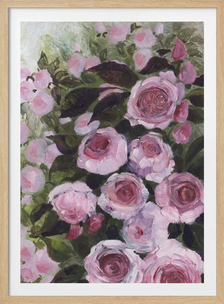 Aurorie malerische Rosen | Poster
