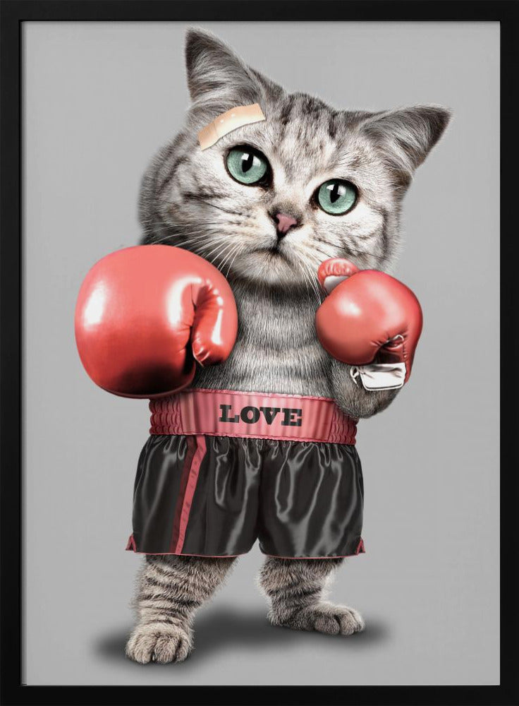 Boxende Katze | Poster