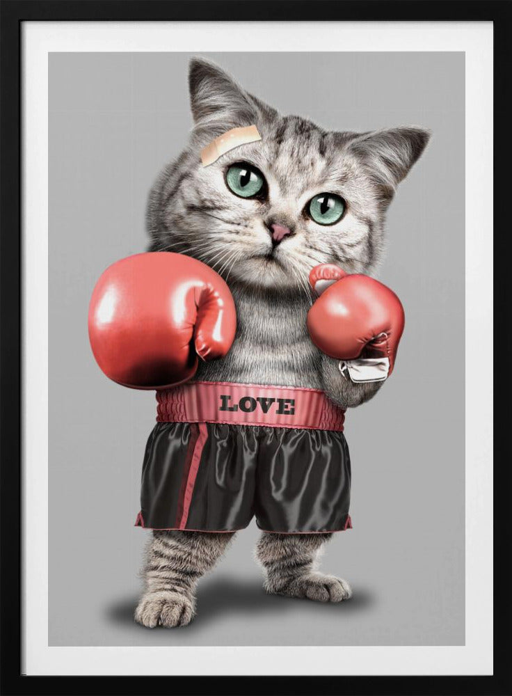 Boxende Katze | Poster