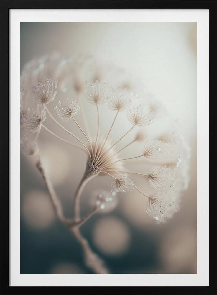 Ätherische Blüte | Poster