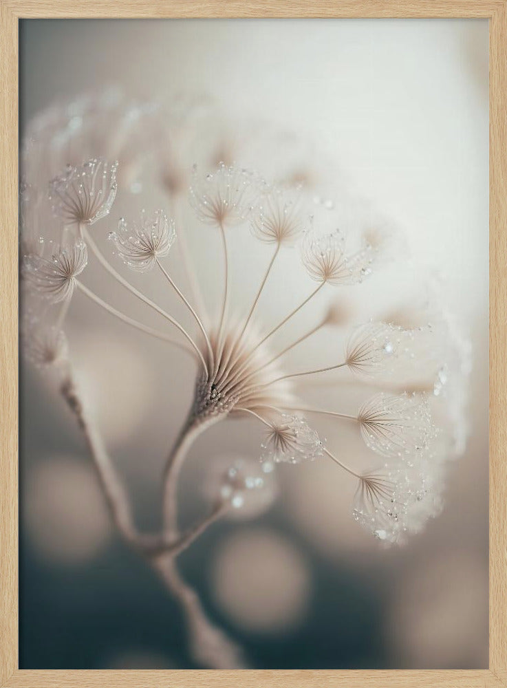 Ätherische Blüte | Poster