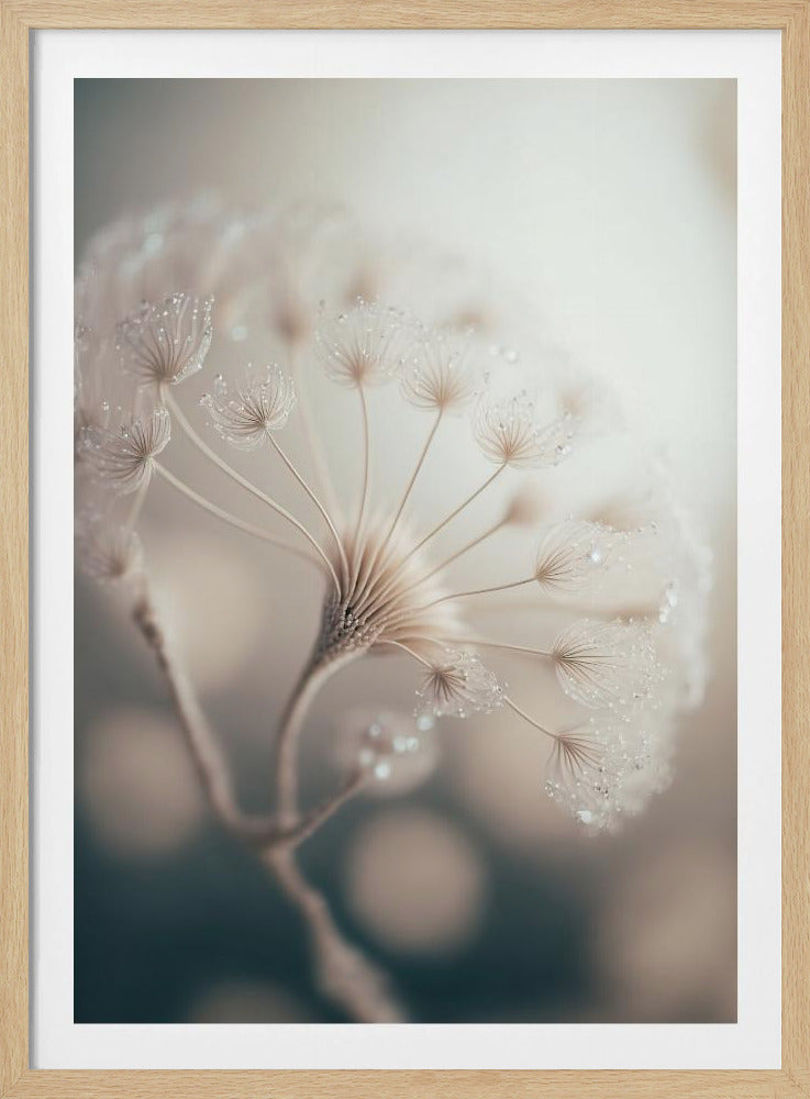 Ätherische Blüte | Poster