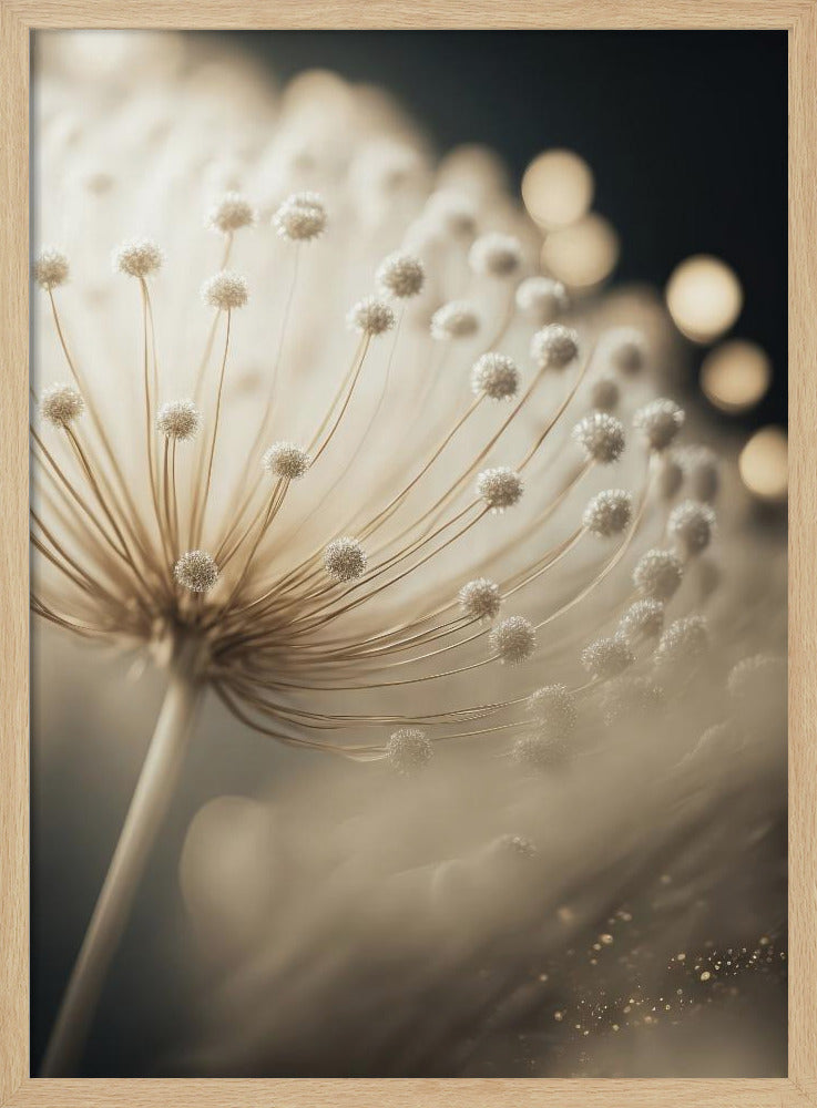 Flüsternde Samen | Poster