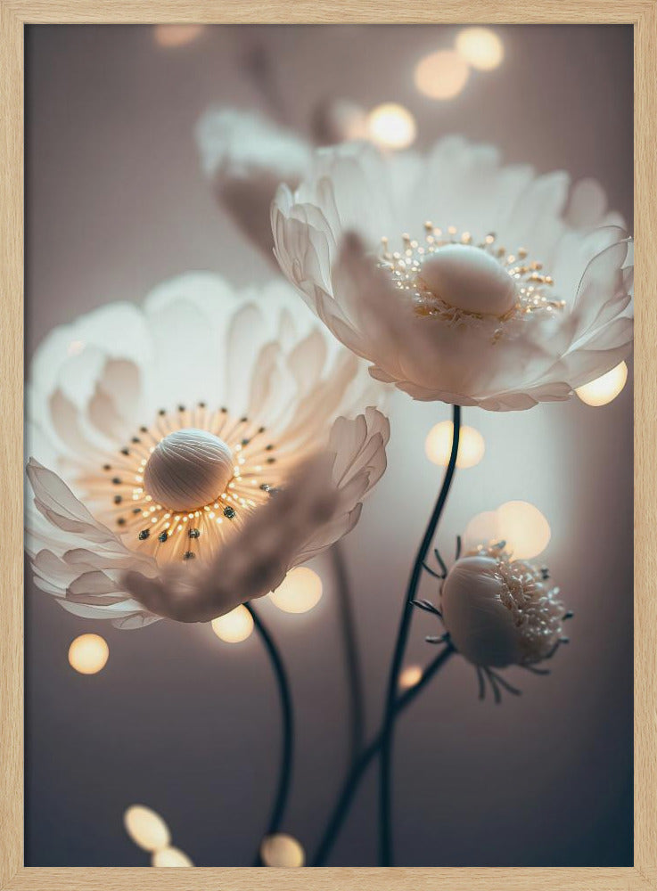 Verträumte Blüten | Poster