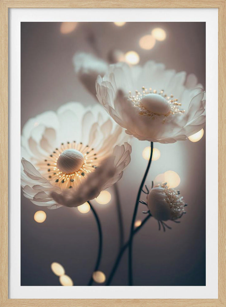 Verträumte Blüten | Poster