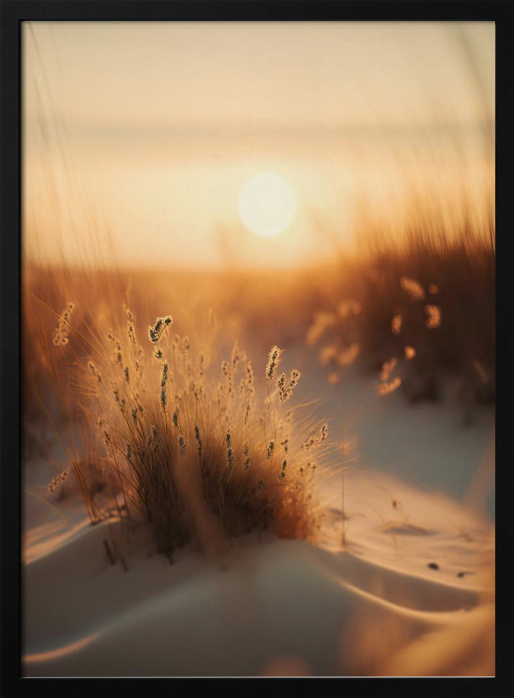 Goldenes Dünenflüstern | Poster