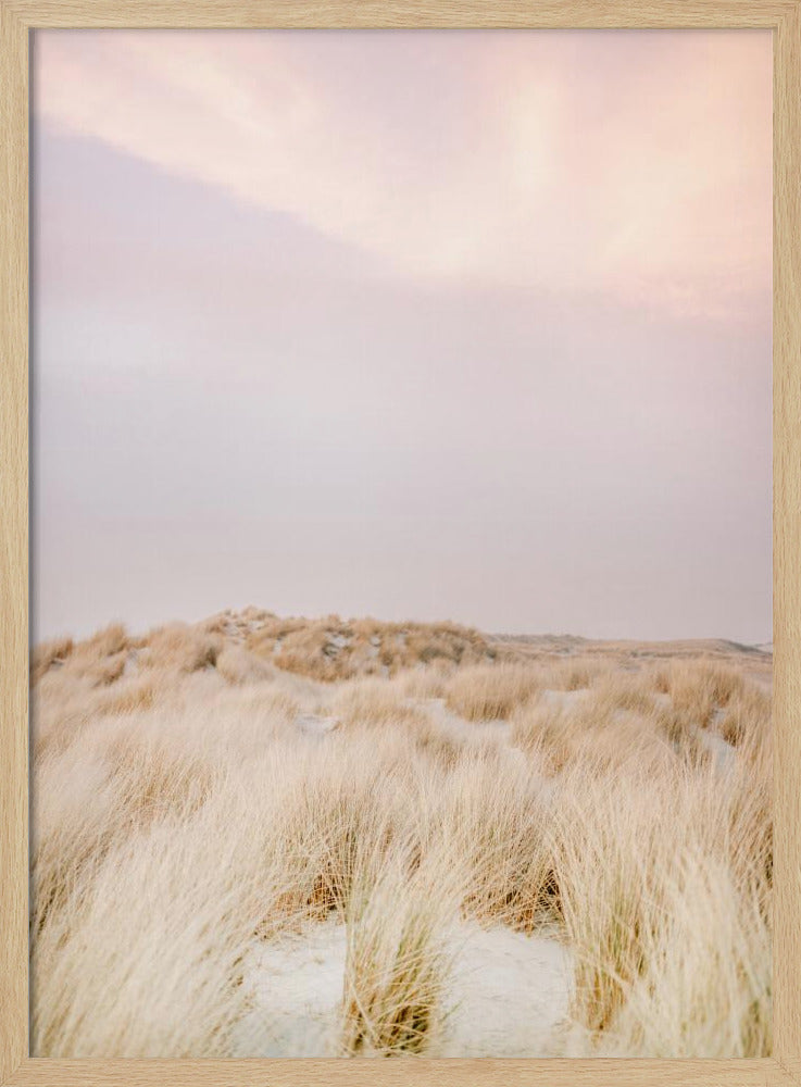 Ameland Dünen 2 | Poster