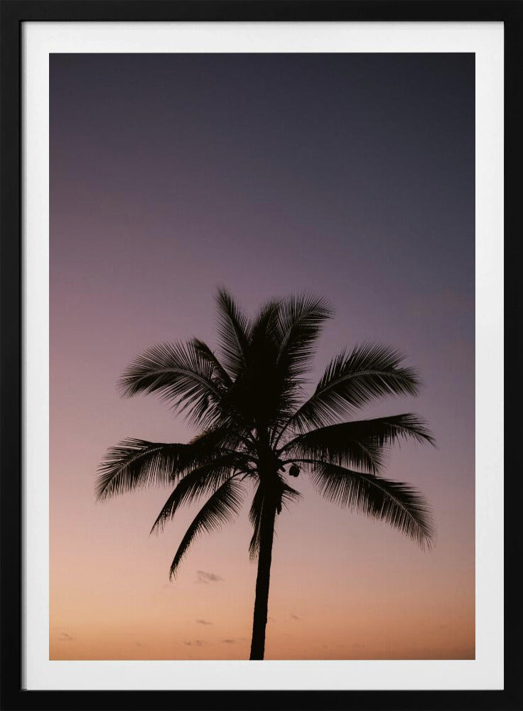Costa Rica Palme | Poster
