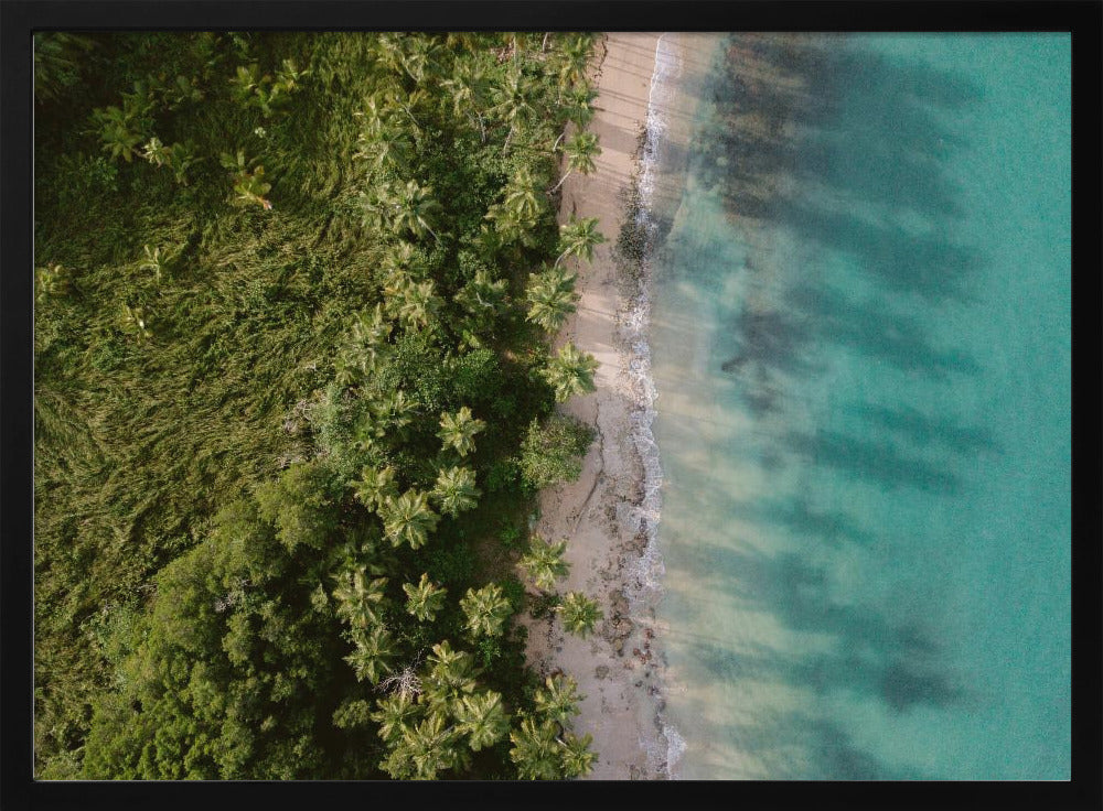 Grüner Strand von oben 2 | Poster